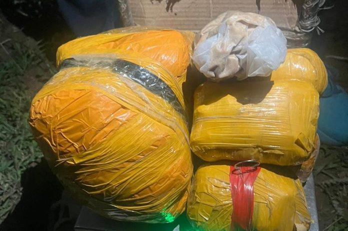 Punjab Police Seize Over 6 Kg of Heroin, Arrest Two Smugglers