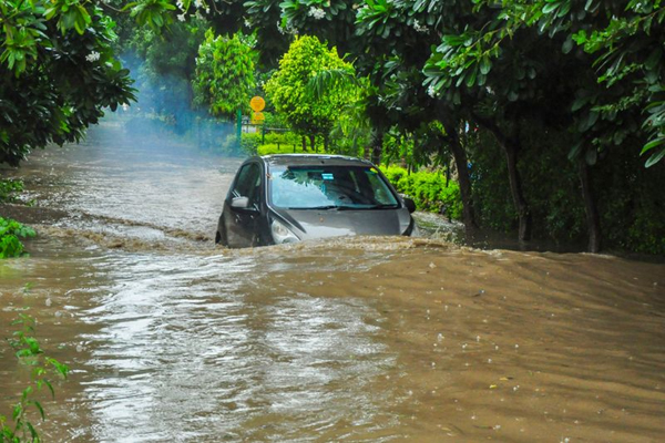 Heavy Rainfall Disrupts Life Across Northern India; Several Dead and Injured