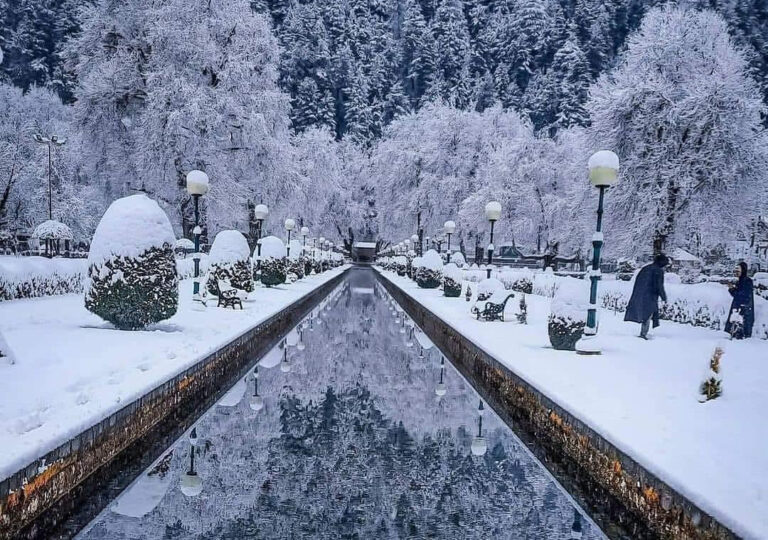 Fresh Snowfall Covers Higher Reaches of Kashmir, Authorities Issue Travel Advisory