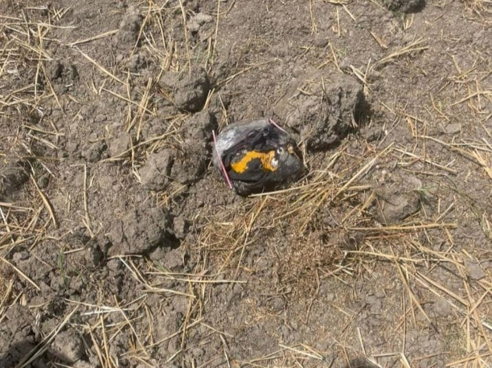 Suspected Drone-Dropped Packet With Drugs Recovered In Jammu Border Belt